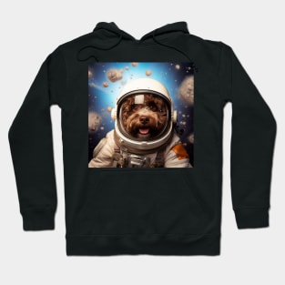 Astro Dog - Lagotto Romagnolo Hoodie